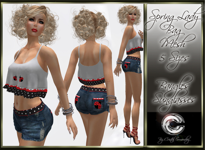 SPRING LADY BAG