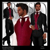 ::DBL:: Resplendent Tuxedo ~ Aubergine