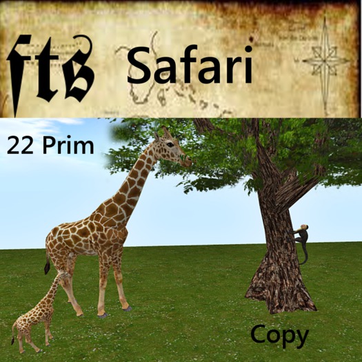 Safari (MP)