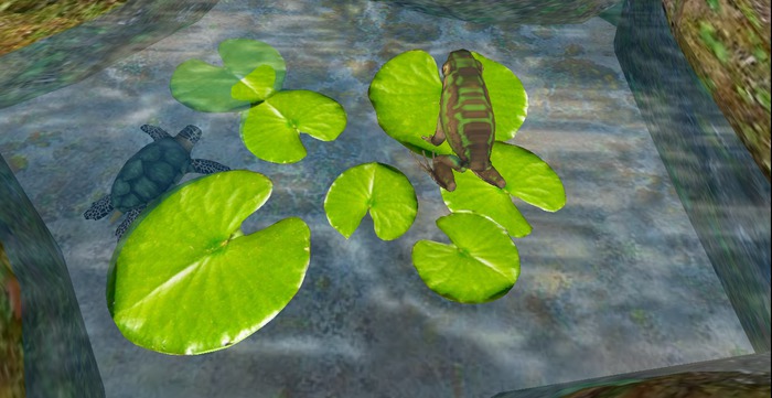Animated Frog and Turtle On Lily Pads Mesh  3LI