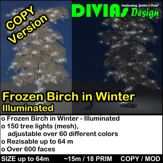 Frozen Winter Birch - Illuminated 