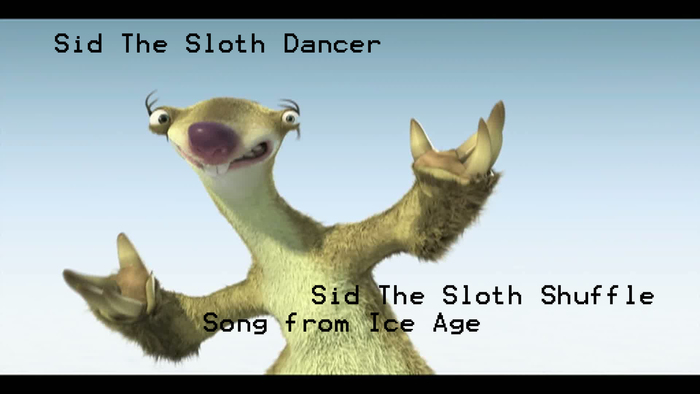 The Ladybug Picnic - Sid Shuffle Group Dancer