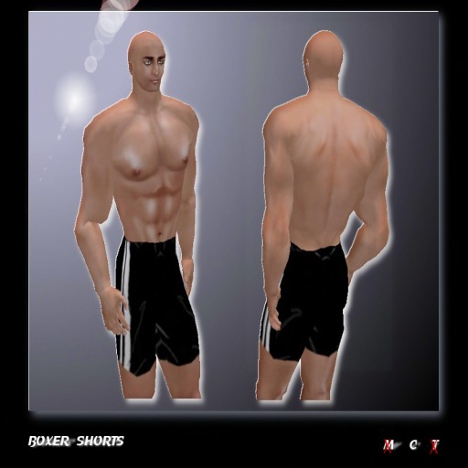 Boxer Shorts /10 (boxed)