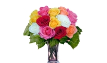 Mixed Roses in Vase No. 1