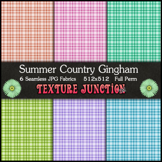 ~TJ~  Summer Country Gingham