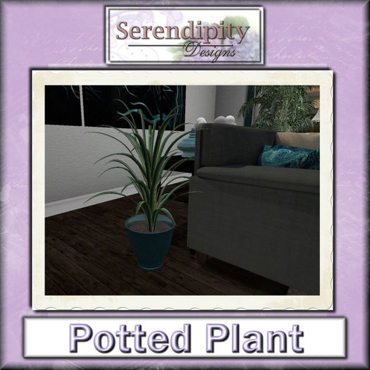 Serendipity Designs - Potted Plant