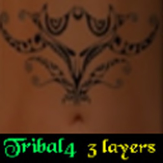 Tribal 4
