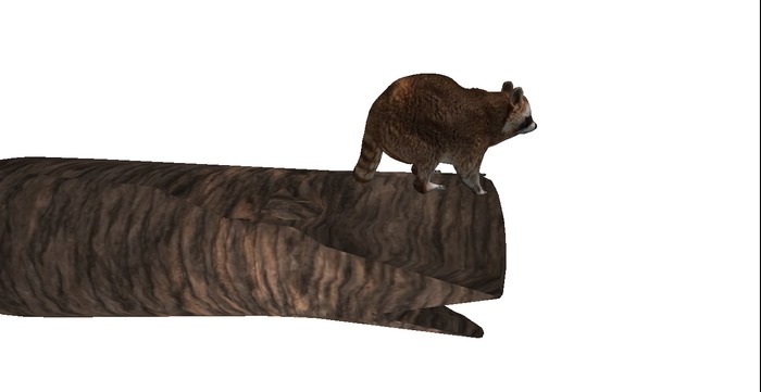 Tiny Mesh Animated Raccoon In Hollow Log