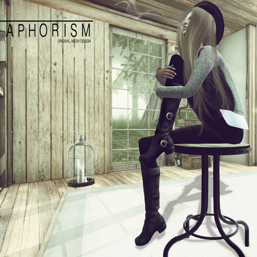 !APHORISM! ROUGH RIDER BOOTS BLACK BOXED 