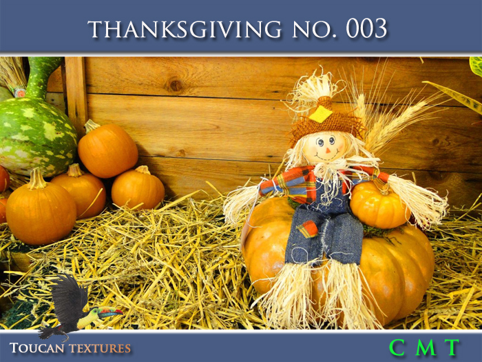 [Toucan Textures] Thanksgiving No. 003