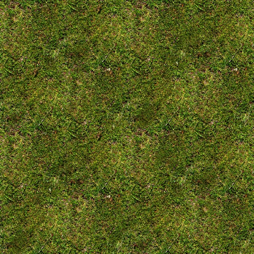 GRASS 2   C - TEXTURE - FULL PERM / SEAMLESS