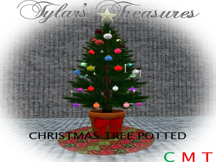 .:TT:.  CHRISTMAS TREE POTTED  BOXED