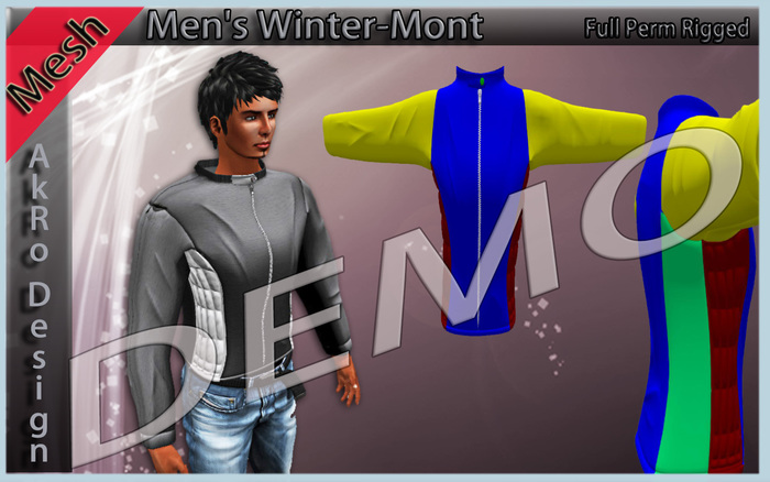 DEMO_Men's Winter-Mont _AMD