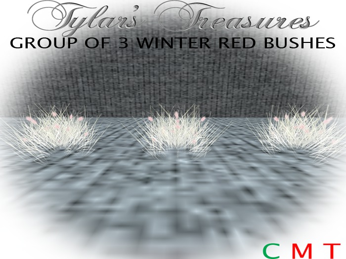 .:TT:.  3 WINTER RED BUSHES  BOXED