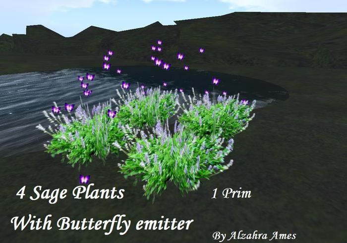 4 Sage plants with butterfly emitter ( 1 prim plants)