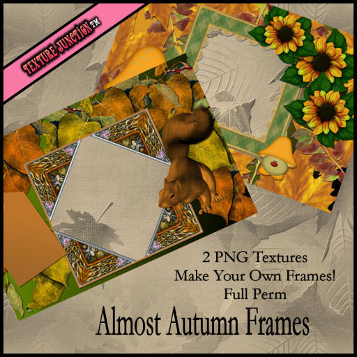 ~TJ~  Almost Autumn Frames