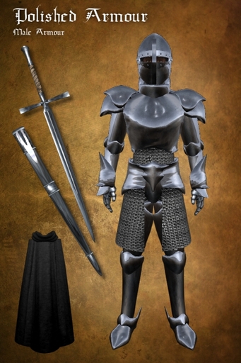 Avalon Knight - Polished Armour (male)