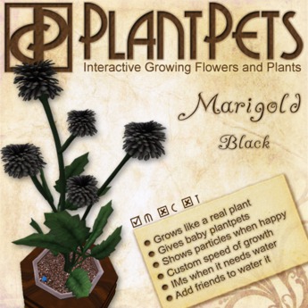 Second Life Marketplace - PlantPet Seed [Marigold *Black*]