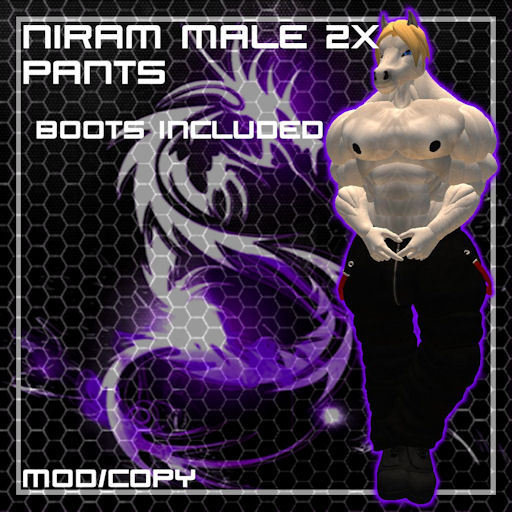 Niram 2X Pants