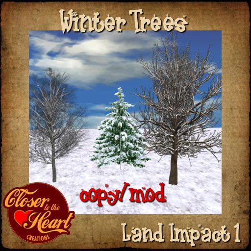 Winter Trees 1 BOXED