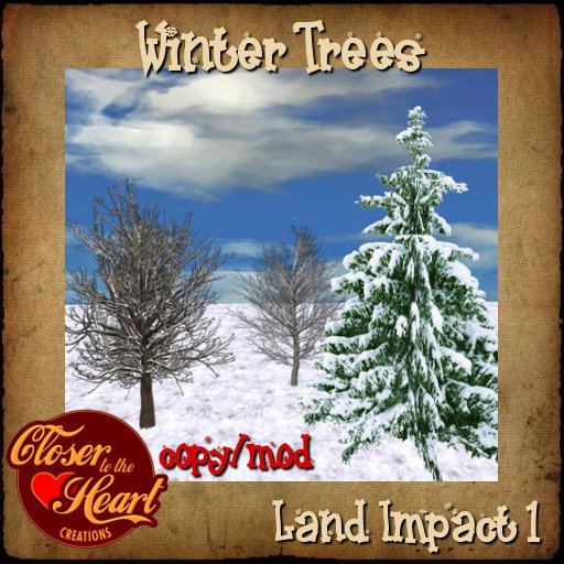 Winter Trees 3 BOXED