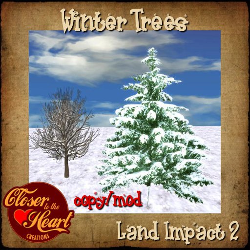 Winter Trees 2 BOXED