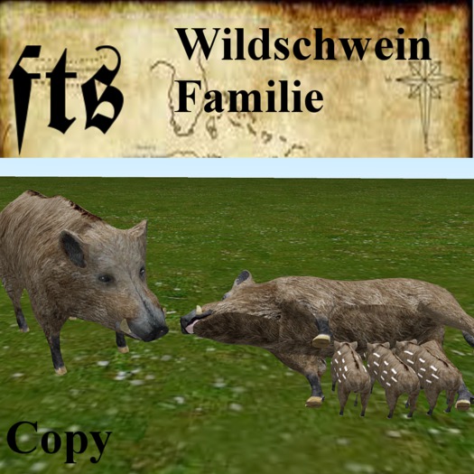 Wildschwein Familie (MP)
