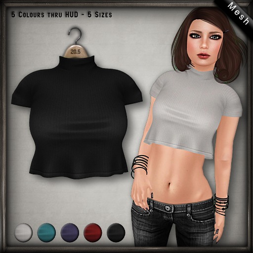 20.FIVE Mesh - Ankie Cropped Top