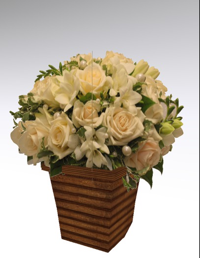 Roses white pot