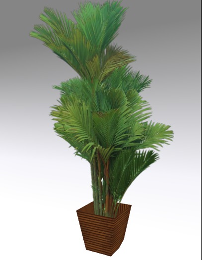 Palm Pot 2