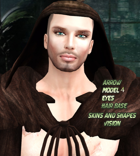 :.Vision Skin Arrow 04