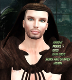 :.Vision Skin Arrow 05