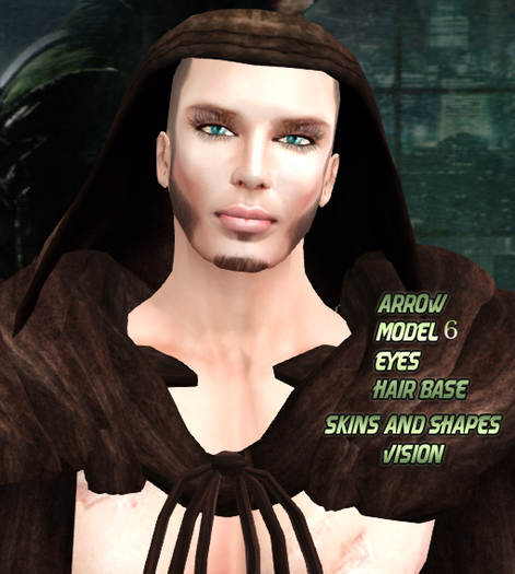 :.Vision Skin Arrow 06