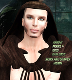 :.Vision Skin Arrow 06