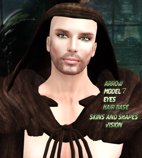 :.Vision Skin Arrow 07