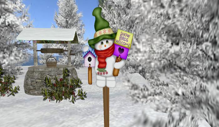 Snow Birds Welcome Stake