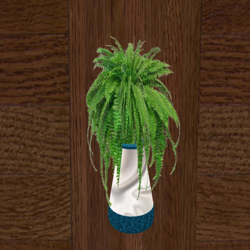 potted Fern
