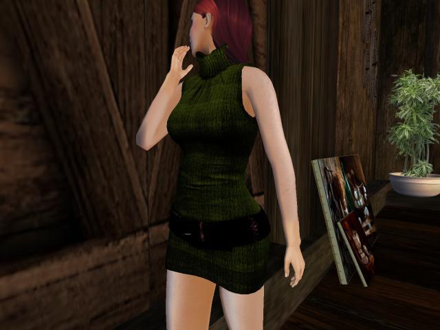 turtle neck dress green