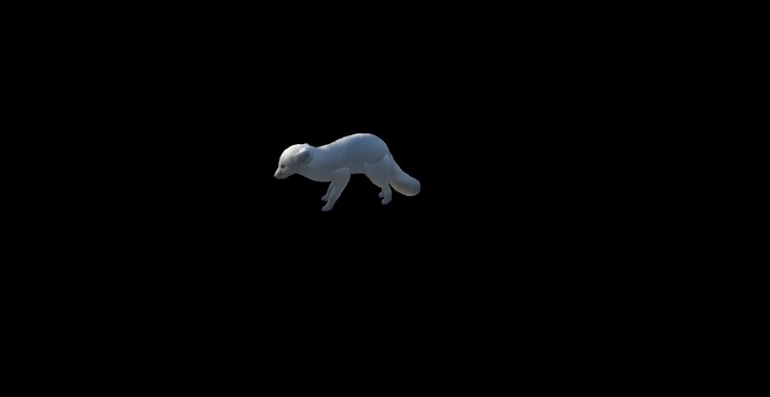 Animated Artic Fox Mesh