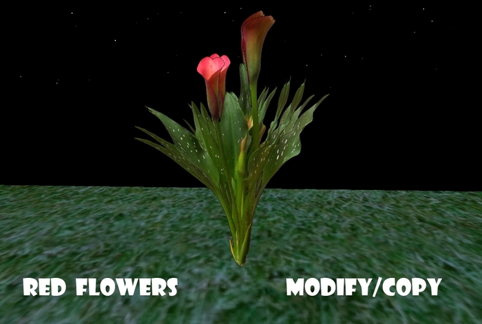 1 Prim Red Flowers