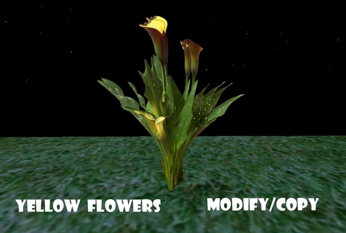 1 Prim Yellow Flowers