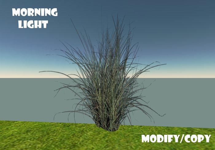 1 Prim Morning Light