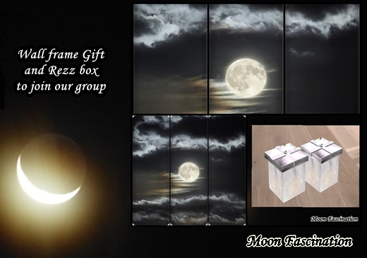 Moon Fascination Gift Group