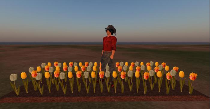 Garden Tulip Bed Patch - particle rez - one prim