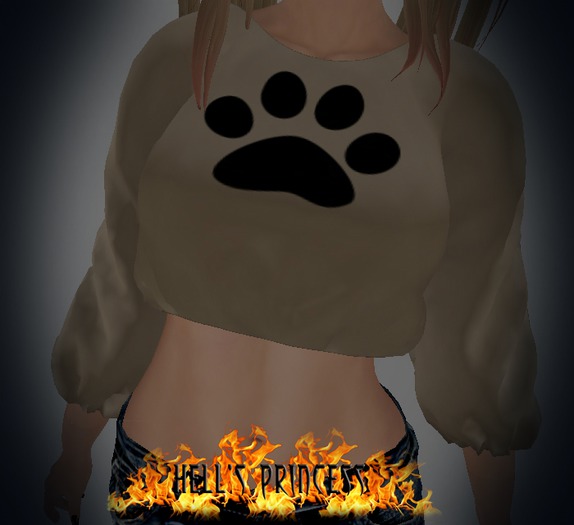 .:Hell's Princess:. Mesh Paw Sweater