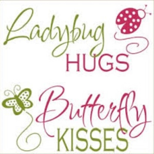 Ladybug Hugs Poster