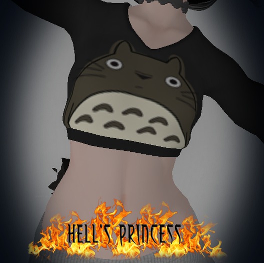.:Hell's Princess:. Totoro Crop Sweater