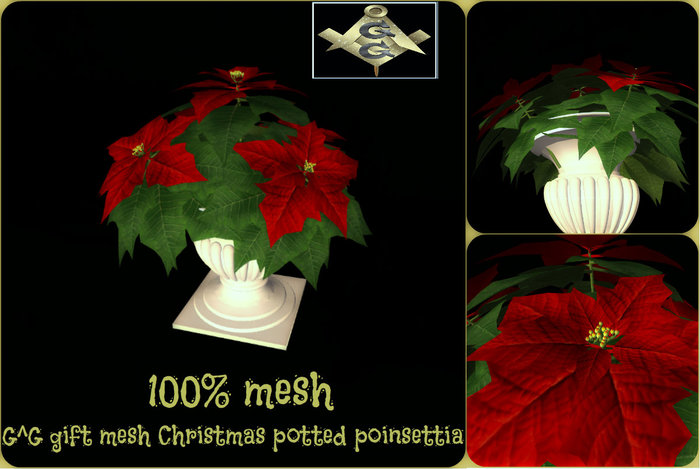 G^G gift mesh Christmas potted poinsettia