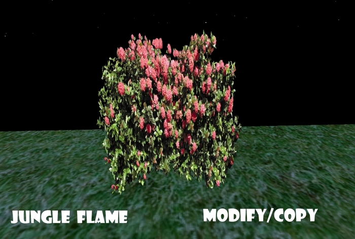 1 Prim Jungle Flame