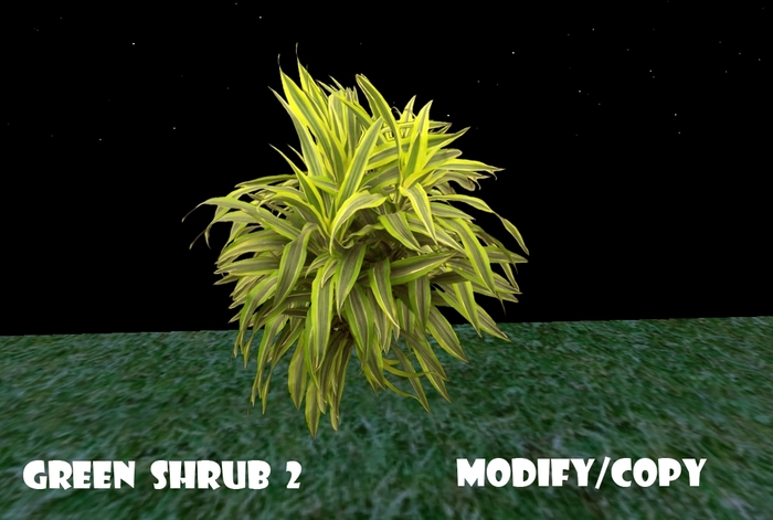 1 Prim Green Shrub 2